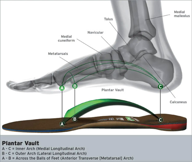 custom foot levelers orthotics